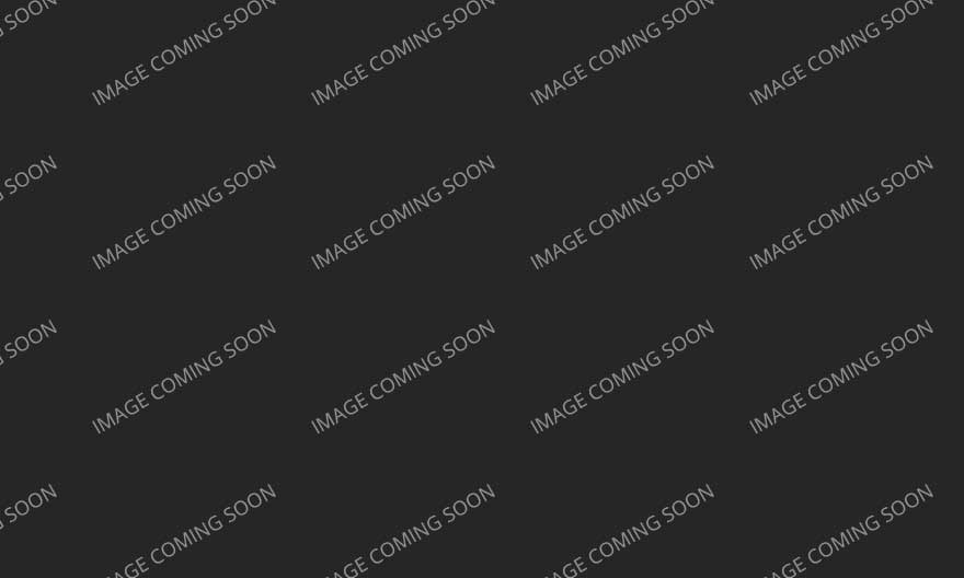 Image ALT will goes here