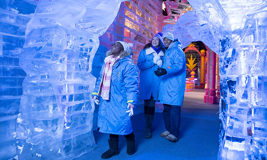 Frozen ICE! Attraction